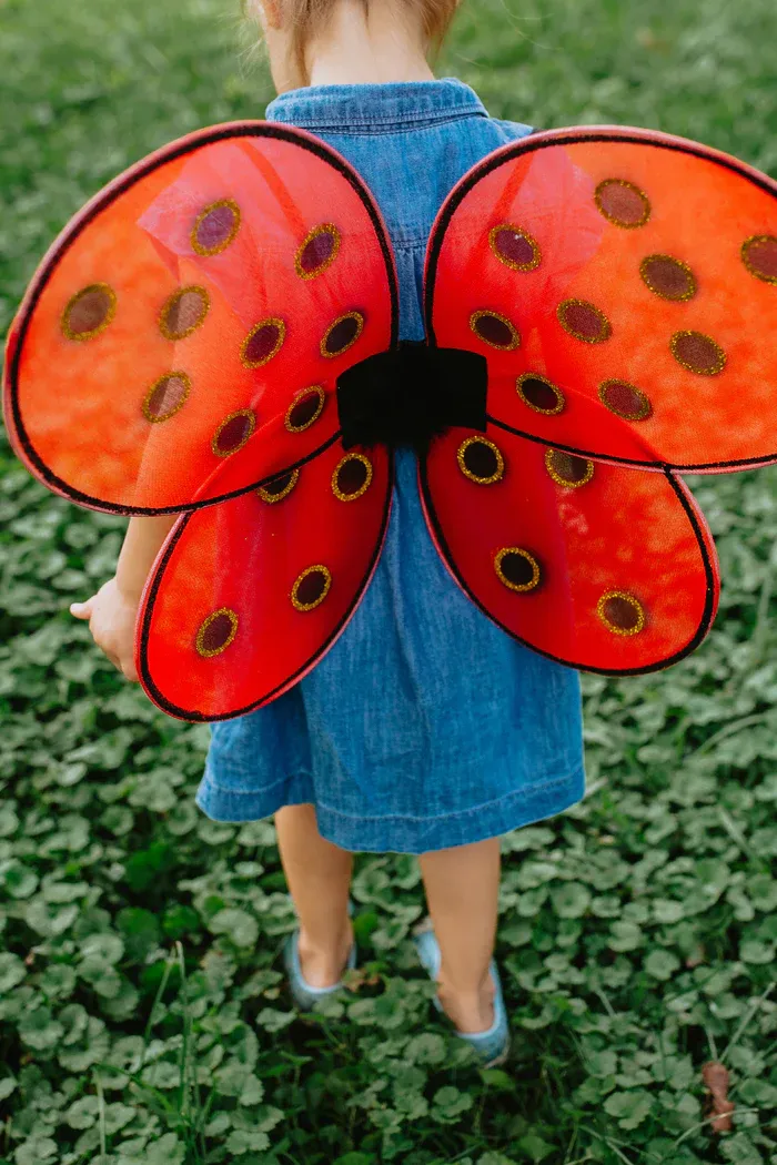 Ladybug Wings and Headband