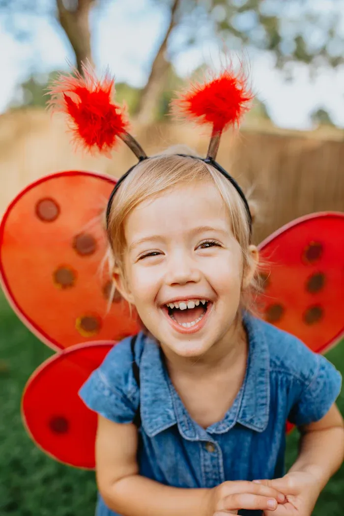 Ladybug Wings and Headband