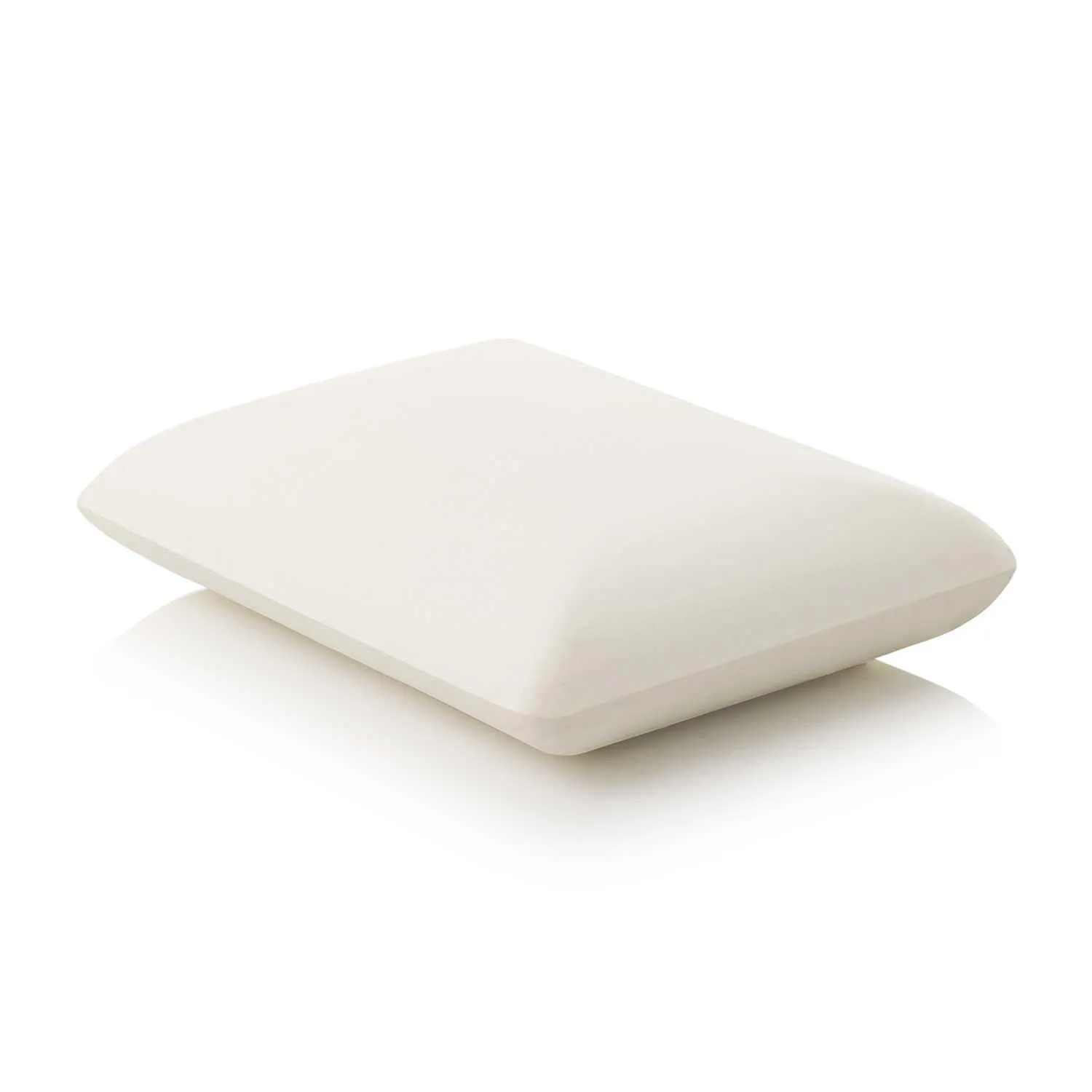 Z Travel DOUGH Memory Foam Pillow